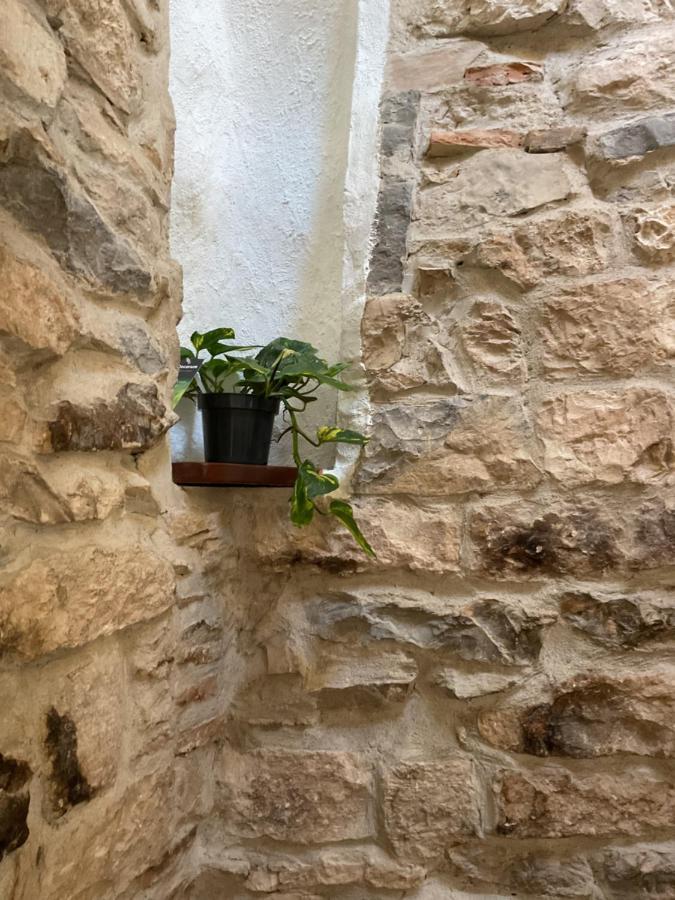 Place Aux Herbes Nîmes Exterior foto